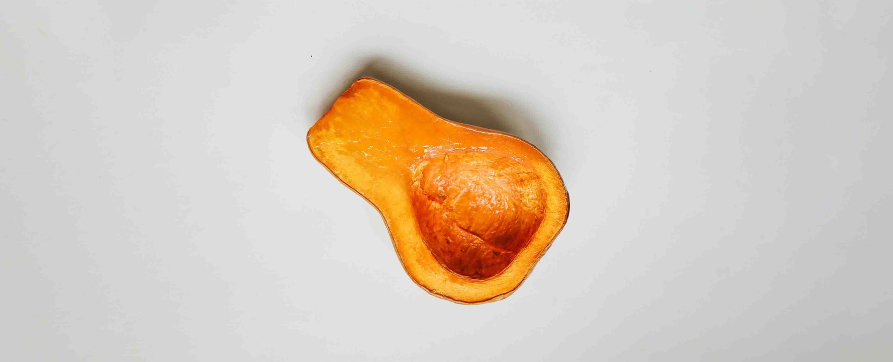 Dynia dla psów i kotów czyli pomarańczowy superfood o doskonałych właściwościach zdrowotnych