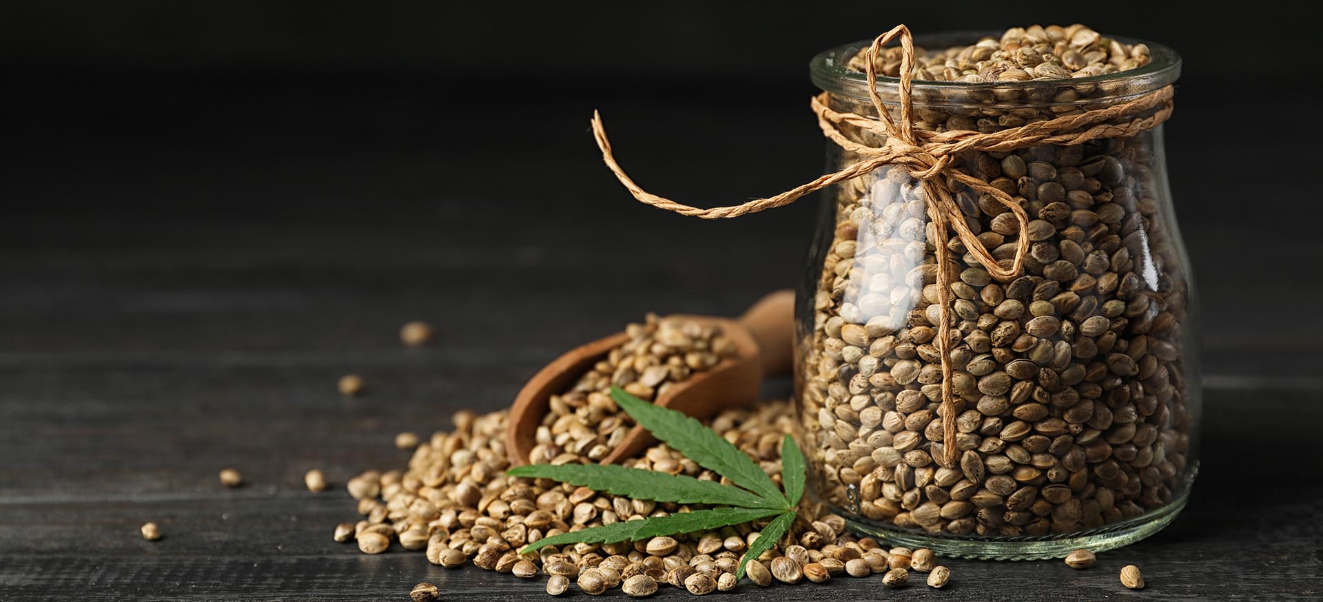 Nasiona konopi - niesamowity składnik a zdrowie psa