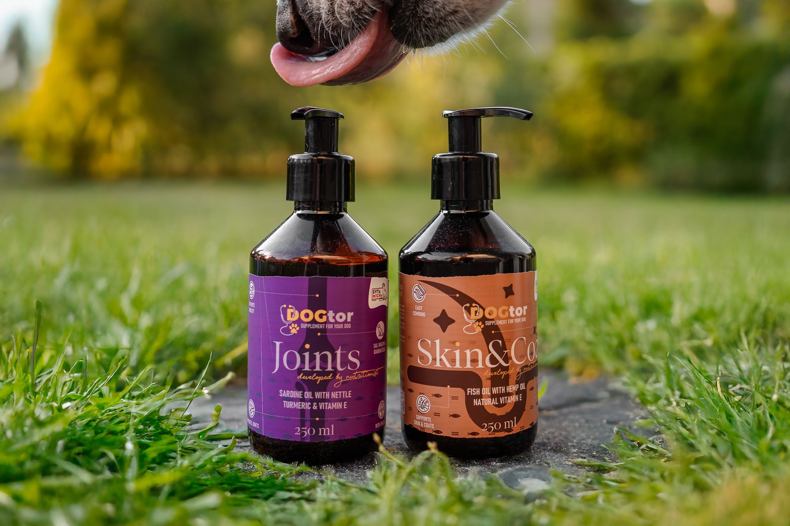 Lśniąca sierść i zdrowa skóra psa? Sekret tkwi w naturalnych olejach!