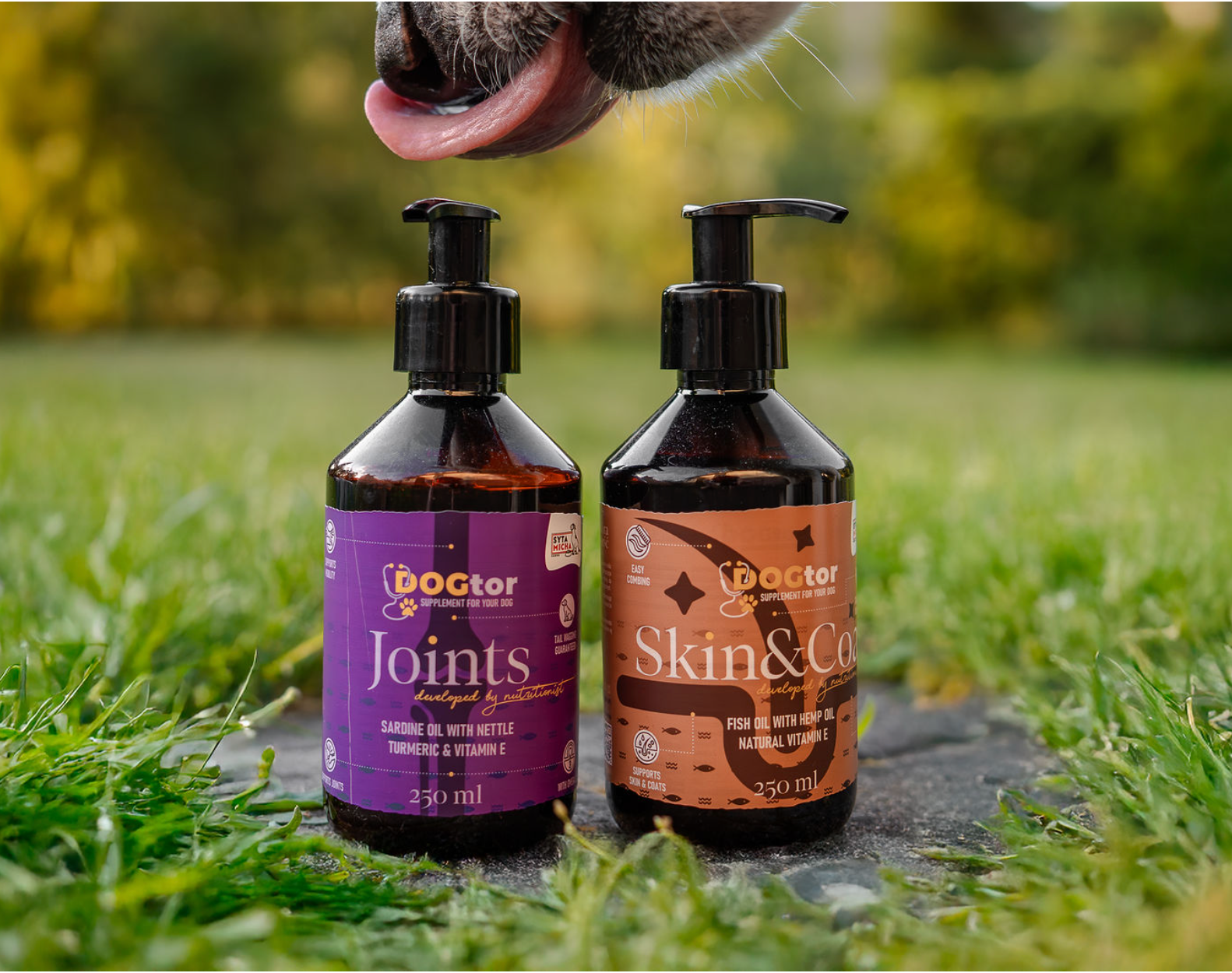 Omega-3 dla psa – dlaczego kwasy EPA i DHA są niezbędne dla pracującego mózgu Twojego psa