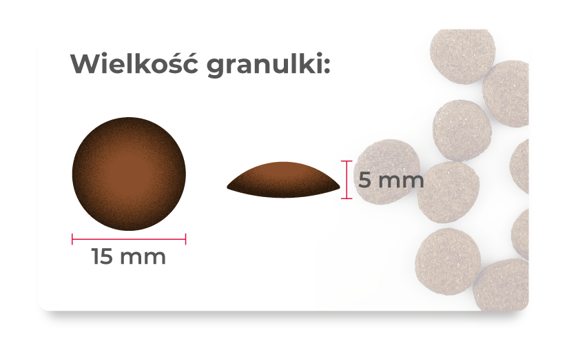 Száraz kutyatáp Vadhús, áfonya és tökmag 1,5 kg